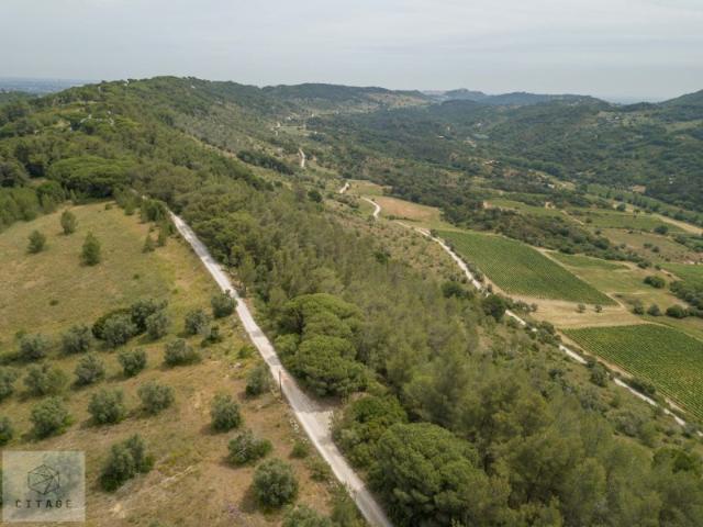 Terreno para venda na Arrábida