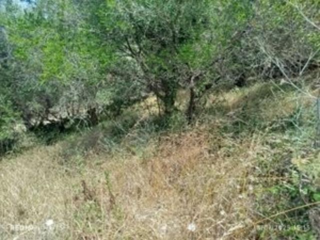 Terreno para venda na zona da Terrugem Sintra