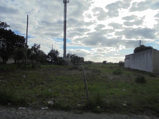 Terreno para venda na zona de Mataduços Esgueira