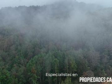 TERRENO PARA VIVIR O INVERTIR EN DONDE LA NATURALEZA INSPIRA