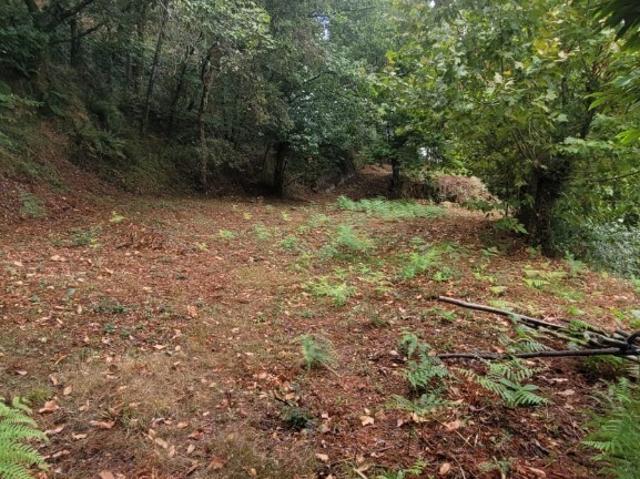 Terreno, Parada Do Bouro, Vieira do Minho | BPI Expresso Imobiliário