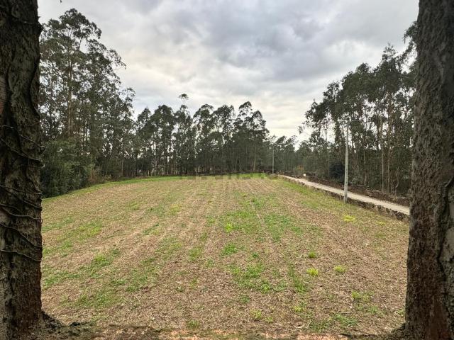 Terreno, Paradela
