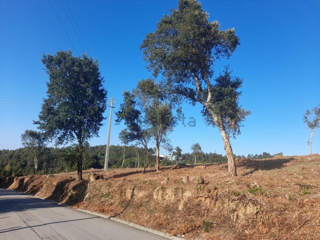 Terreno, Paramos
