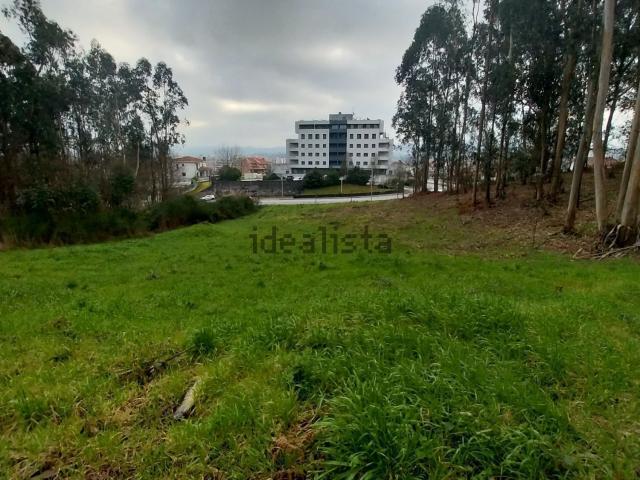 Terreno, Paredes
