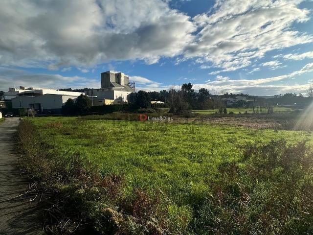 Terreno, Paredes