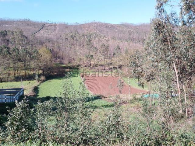 Terreno, Paredes
