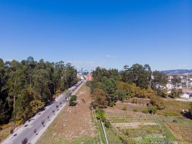 Terreno, Paredes