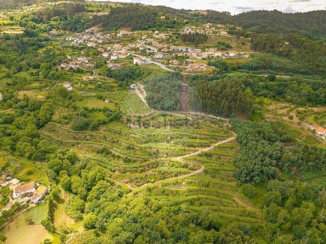 Terreno, Paredes de Viadores e Manhuncelos