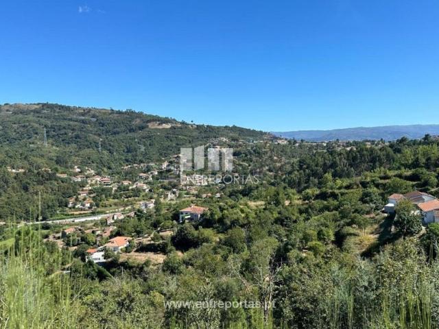 Terreno, Paredes de Viadores e Manhuncelos
