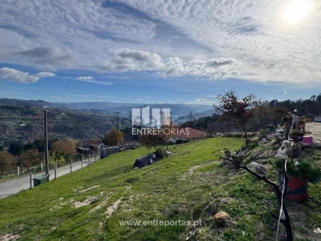 Terreno, Paredes de Viadores e Manhuncelos