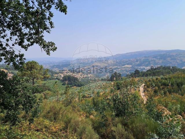 Terreno, Paredes de Viadores e Manhuncelos