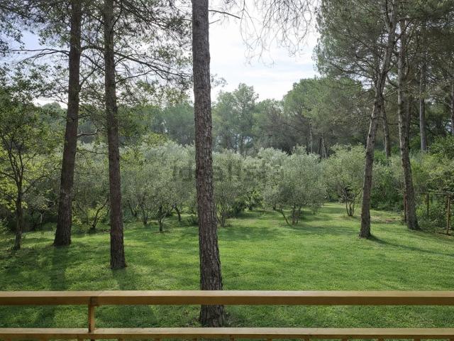 Terreno, Parlavá