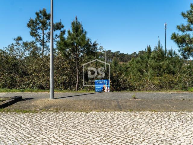 Terreno, Pataias e Martingança
