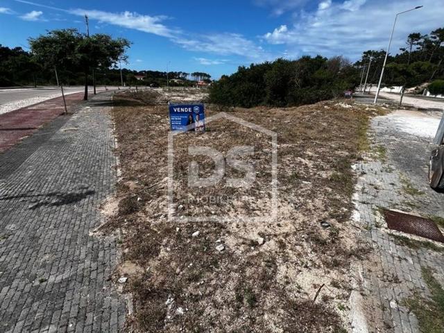 Terreno, Pataias e Martingança