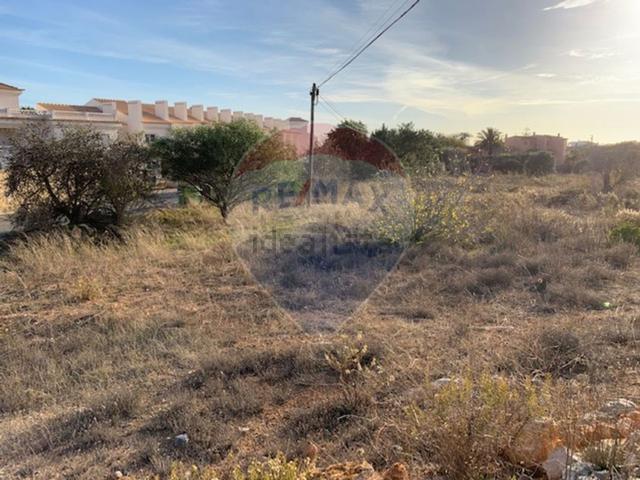 Terreno, Páteo, Albufeira e Olhos de Água