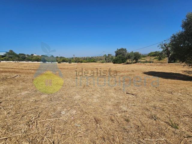 Terreno, Páteo, Albufeira e Olhos de Água