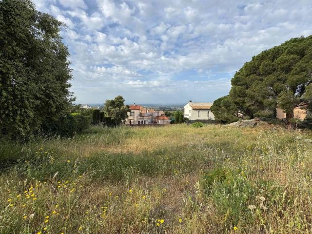 Terreno, Pau
