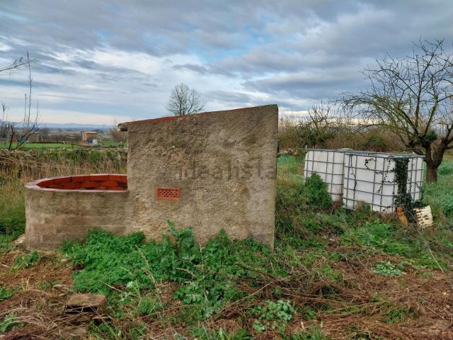 Terreno, Pau
