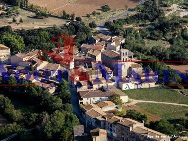 Terreno, Pau