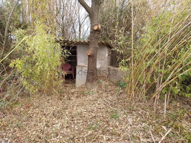 Terreno, Pau