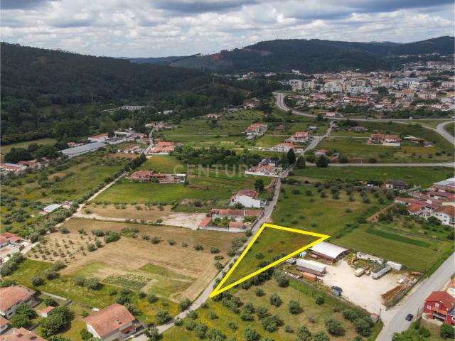 Terreno P/Construção Miranda do Corvo