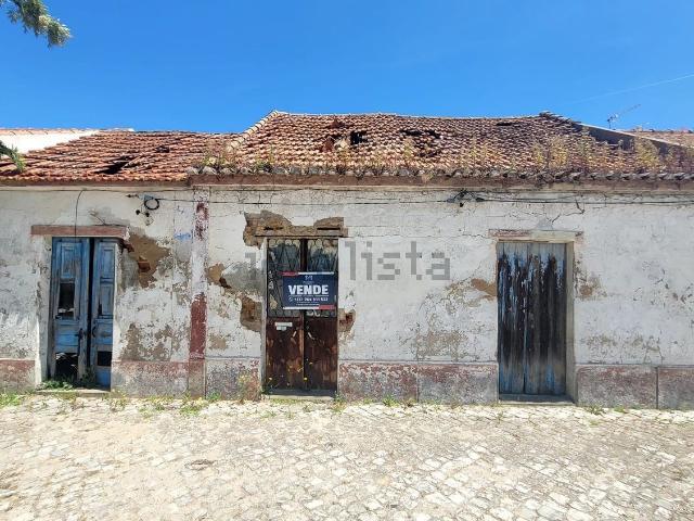 Terreno, Pegões