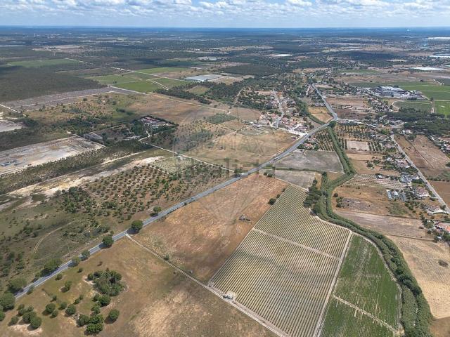 Terreno, Pegões