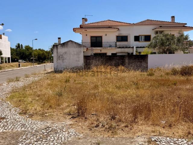 Terreno, Pegões