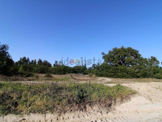 Terreno, Pegões