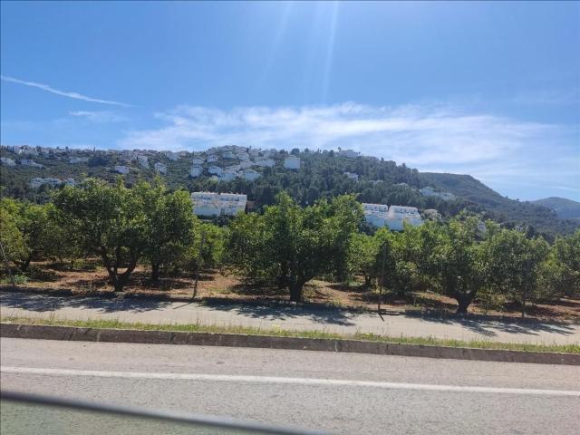 Terreno, Pego