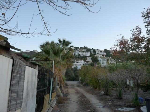 Terreno, Pego