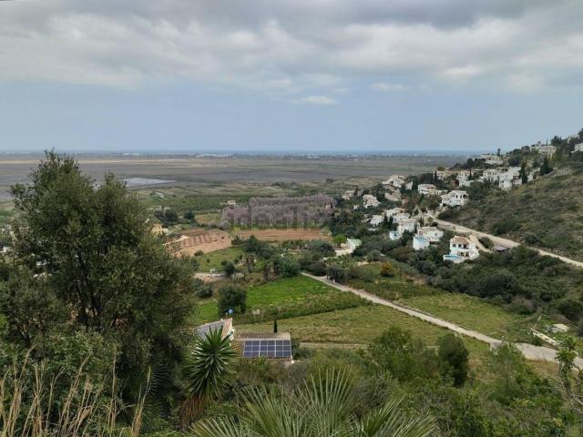 Terreno, Pego