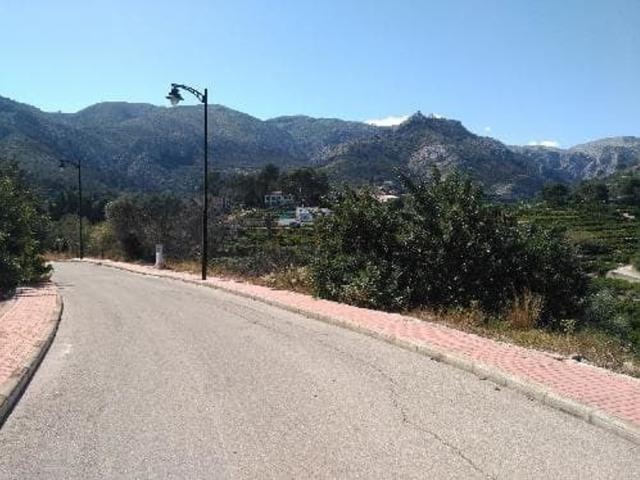Terreno, Pego