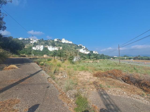 Terreno, Pego