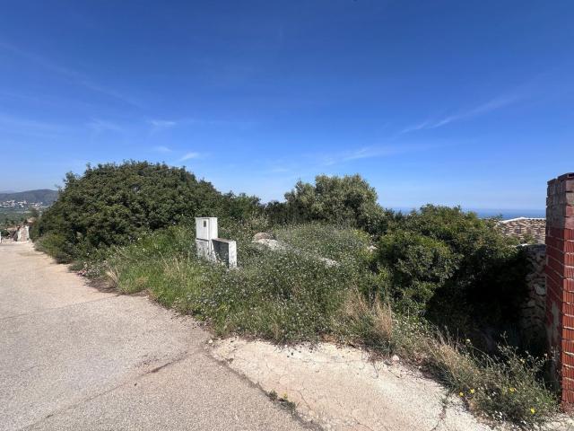Terreno, Pego
