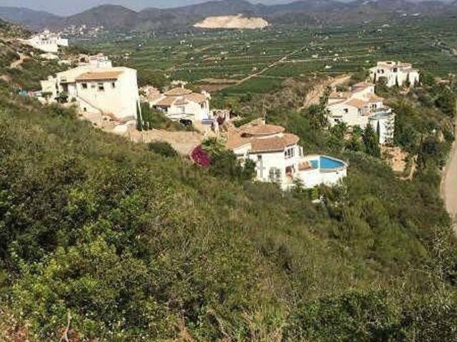 Terreno, Pego