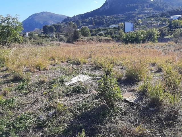 Terreno, Pego