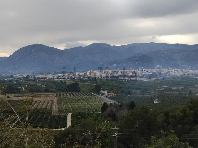 Terreno, Pego