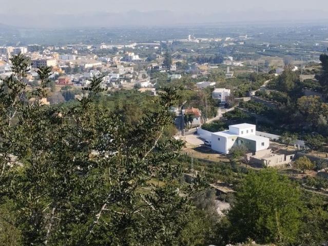 Terreno, Pego