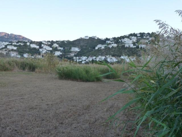 Terreno, Pego