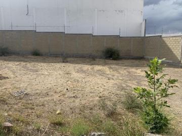 Terreno Pedregal Fase 1