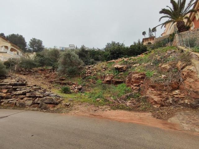 Terreno, Pedreguer