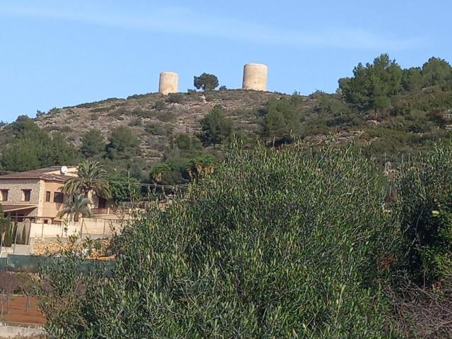 Terreno, Pedreguer