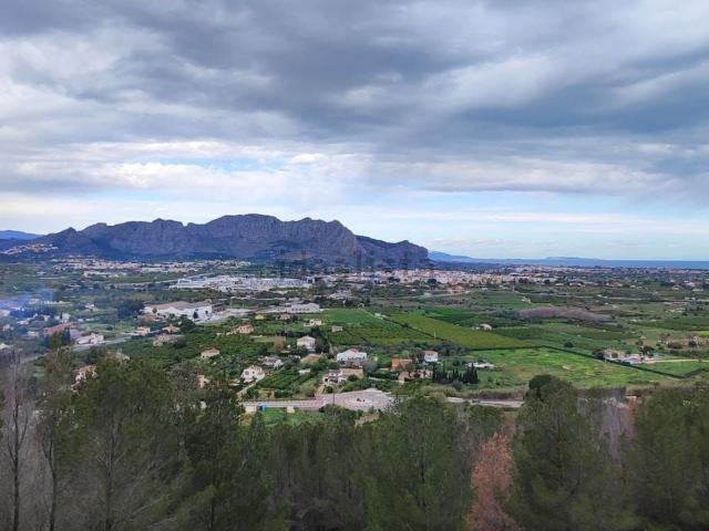 Terreno, Pedreguer