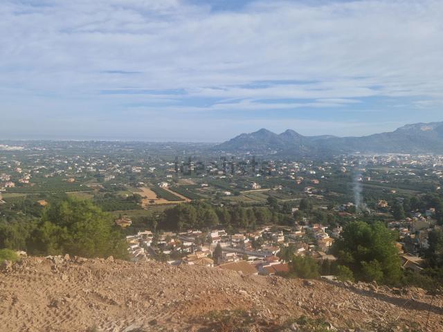 Terreno, Pedreguer