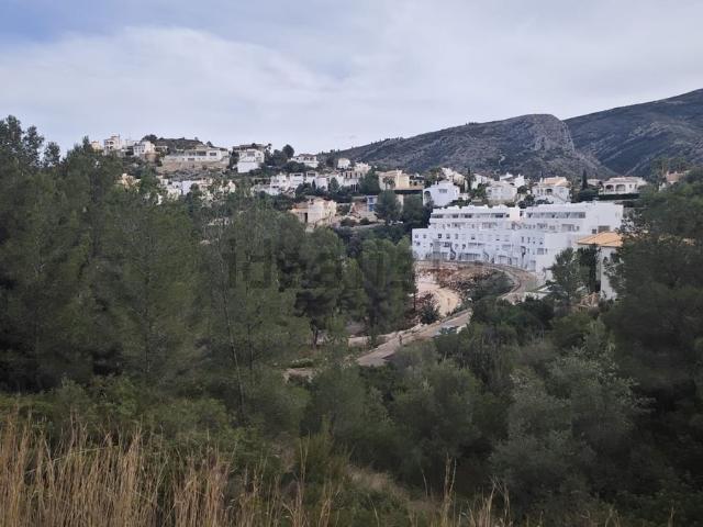 Terreno, Pedreguer