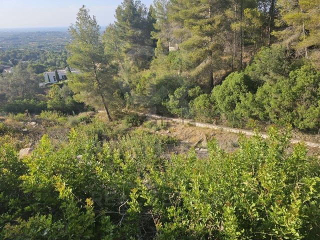 Terreno, Pedreguer