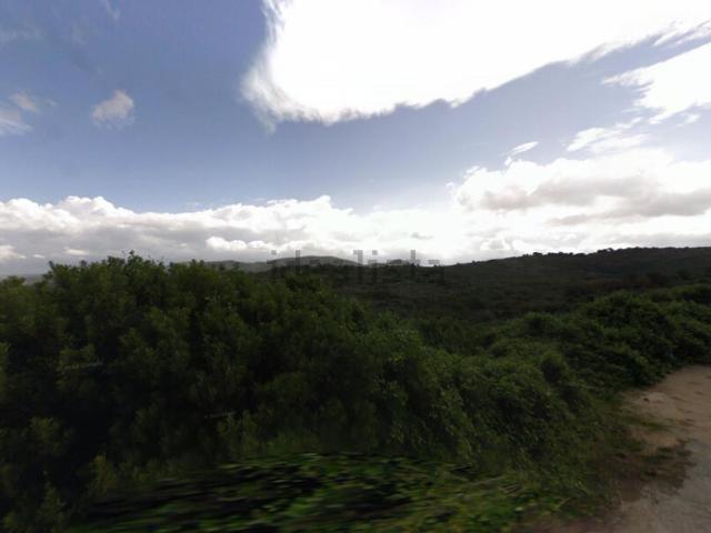 Terreno, Pedreguer