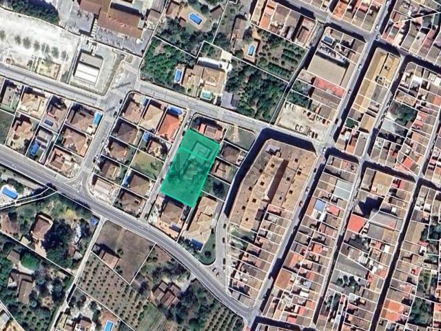Terreno, Pedreguer