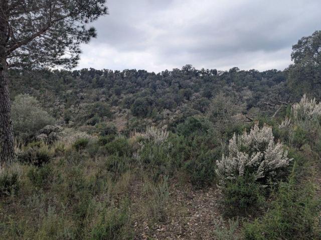 Terreno, Pedret i Marzá